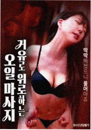 指环王：护戒使者
